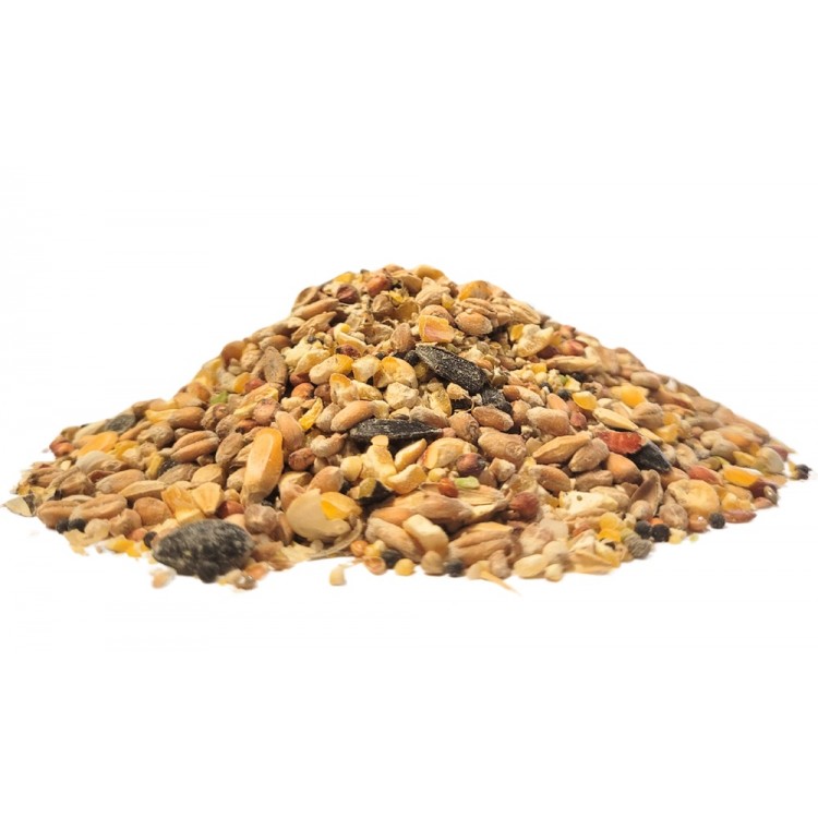 Pasza tradycyjna dla kur niosek 20 kg Kurza Uczta BEZ GMO Pasza tradycyjna dla kur niosek 20 kg Kurza Uczta BEZ GMO